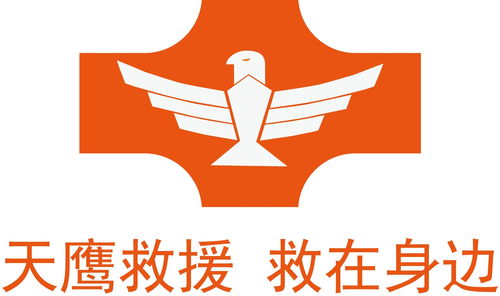 廣東天鷹救援技術(shù)服務(wù) 專業(yè)守護(hù)，安全護(hù)航